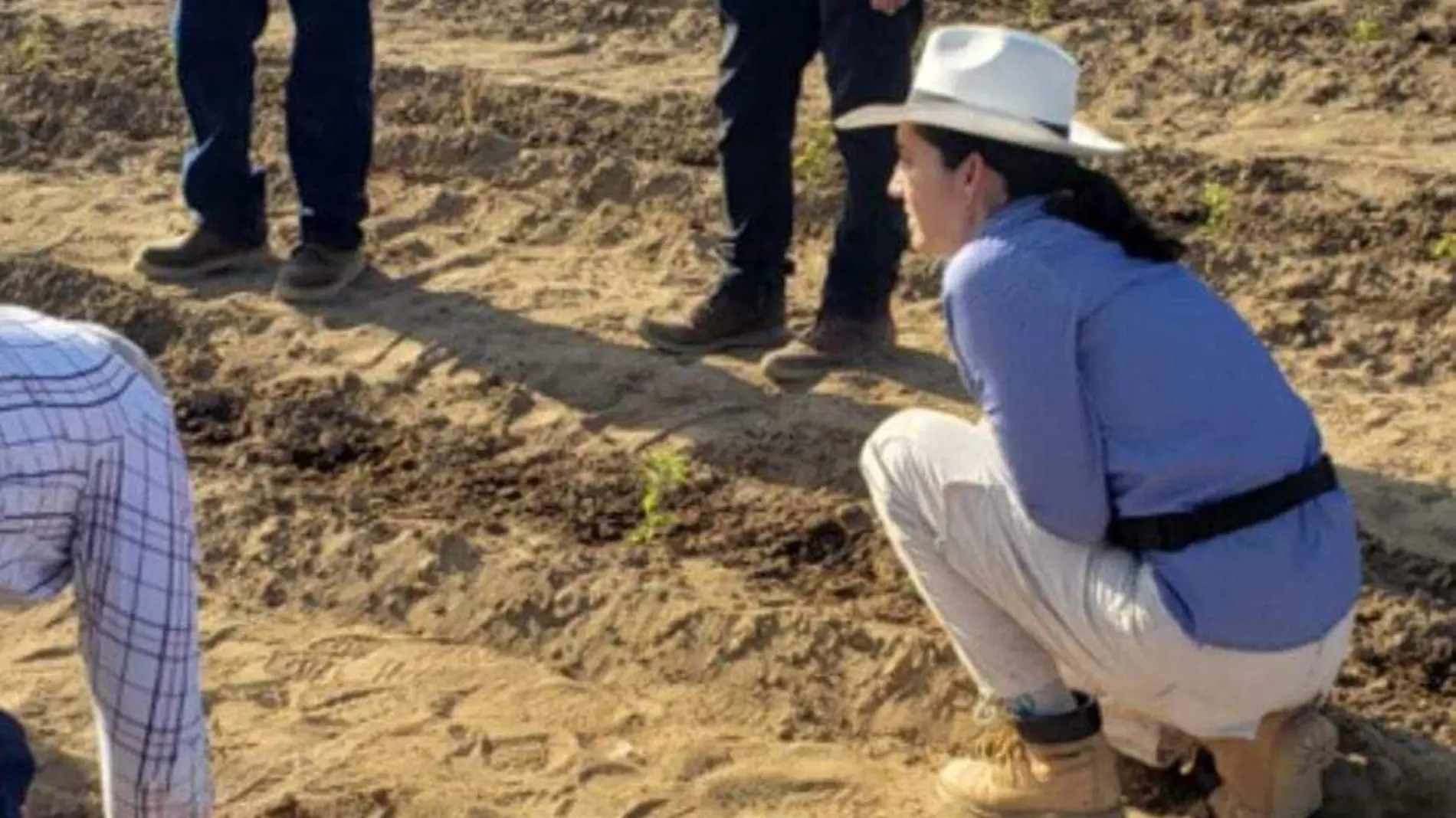 nanoencapsulados agricultura Cibnor 1